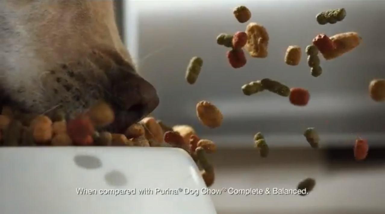 Purina Dog Chow